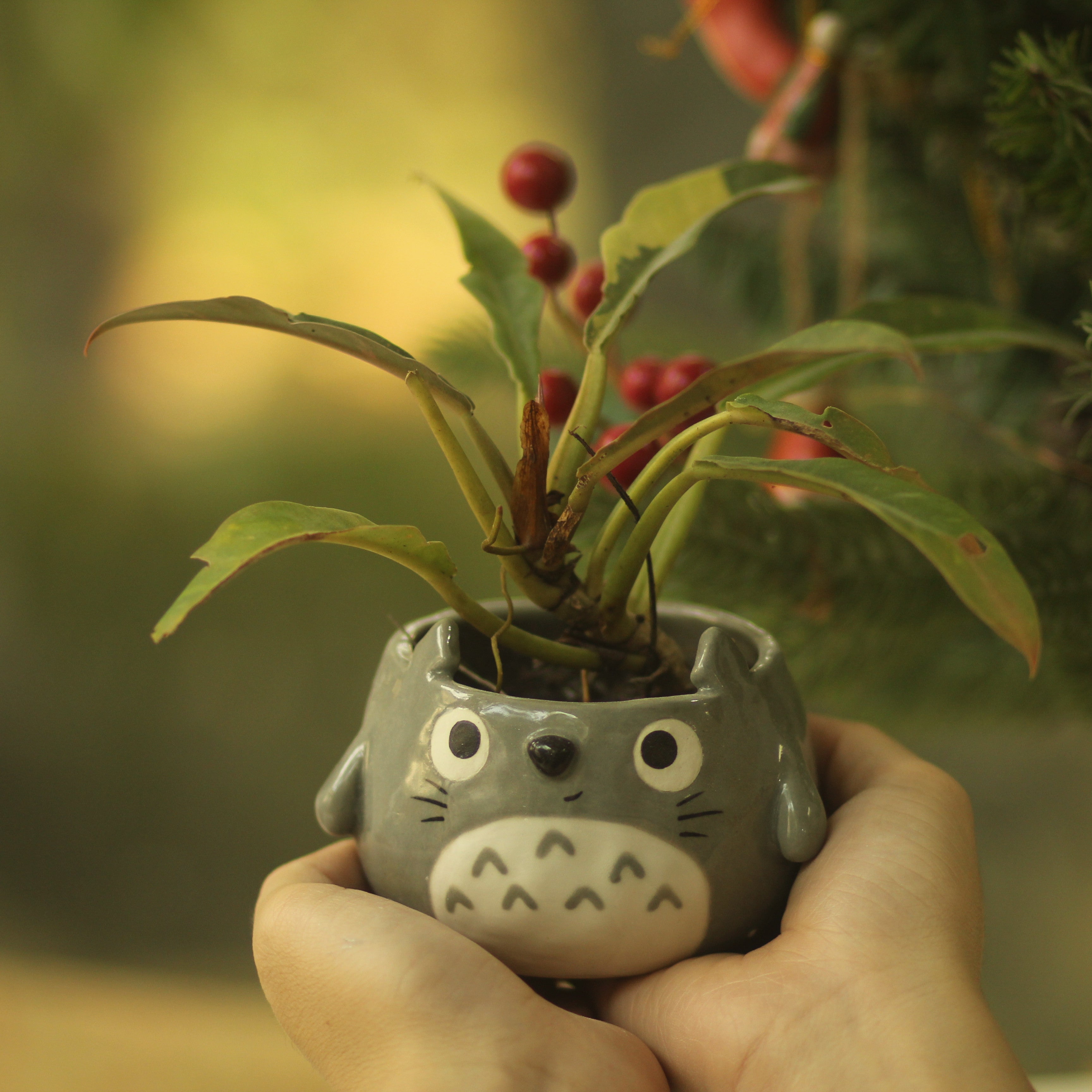 [Pre-order] Forest Spirit Handmade Ceramic Plant Pots, Handbuilt Pottery, Cute Gift For Anime Fan, Unique Birthday Gift, Adorable Valentine Gift | Totto Pottery