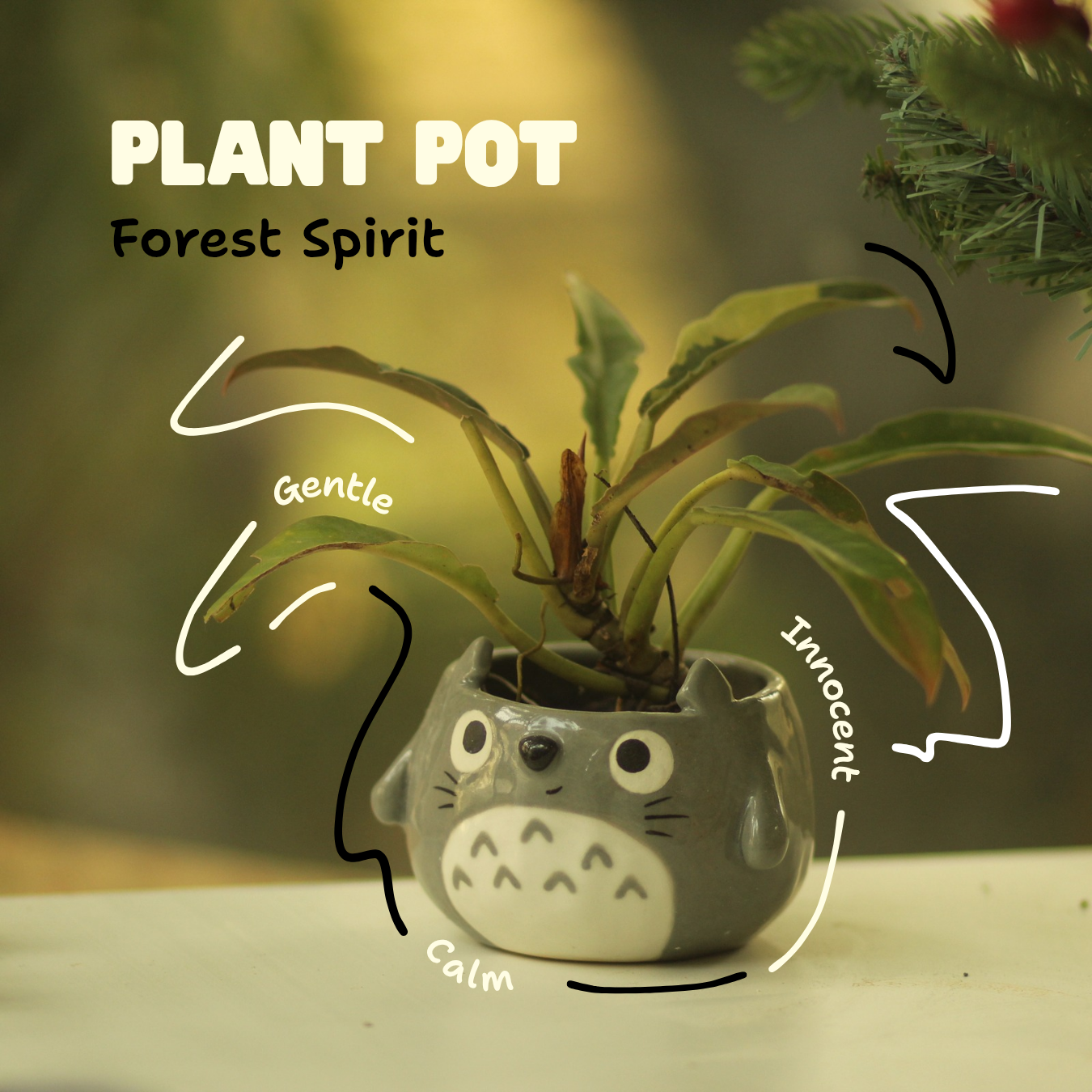 [Pre-order] Forest Spirit Handmade Ceramic Plant Pots, Handbuilt Pottery, Cute Gift For Anime Fan, Unique Birthday Gift, Adorable Valentine Gift | Totto Pottery