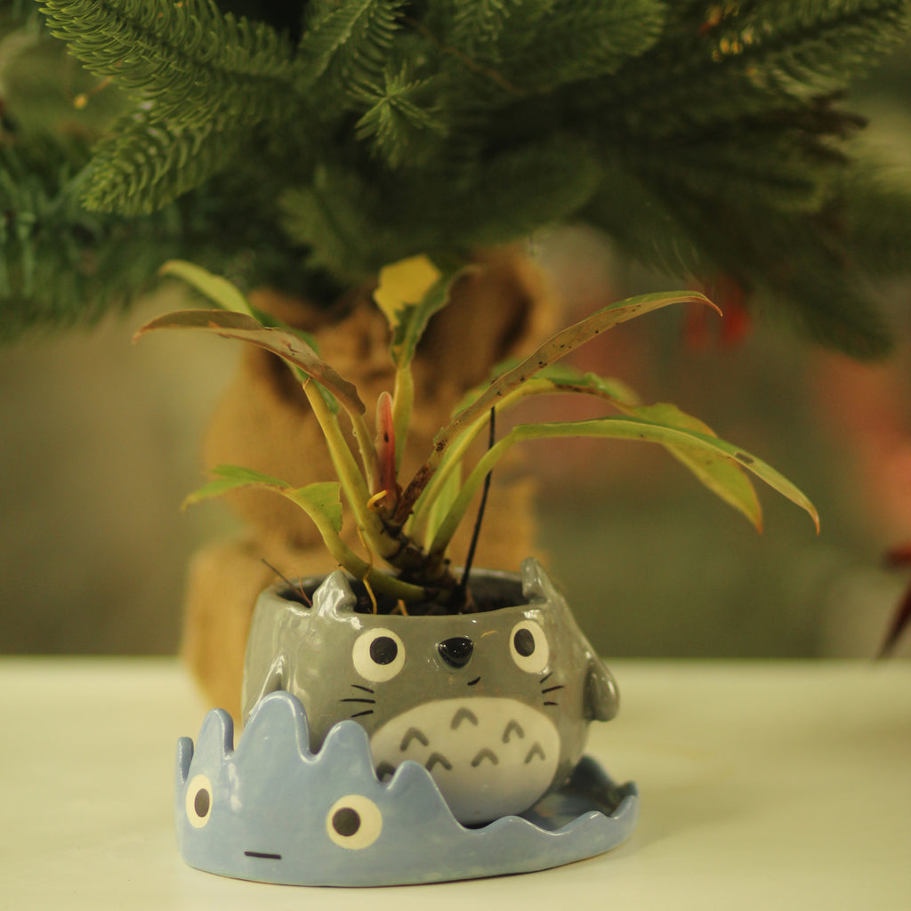 [Pre-order] Forest Spirit Handmade Ceramic Plant Pots, Handbuilt Pottery, Cute Gift For Anime Fan, Unique Birthday Gift, Adorable Valentine Gift | Totto Pottery