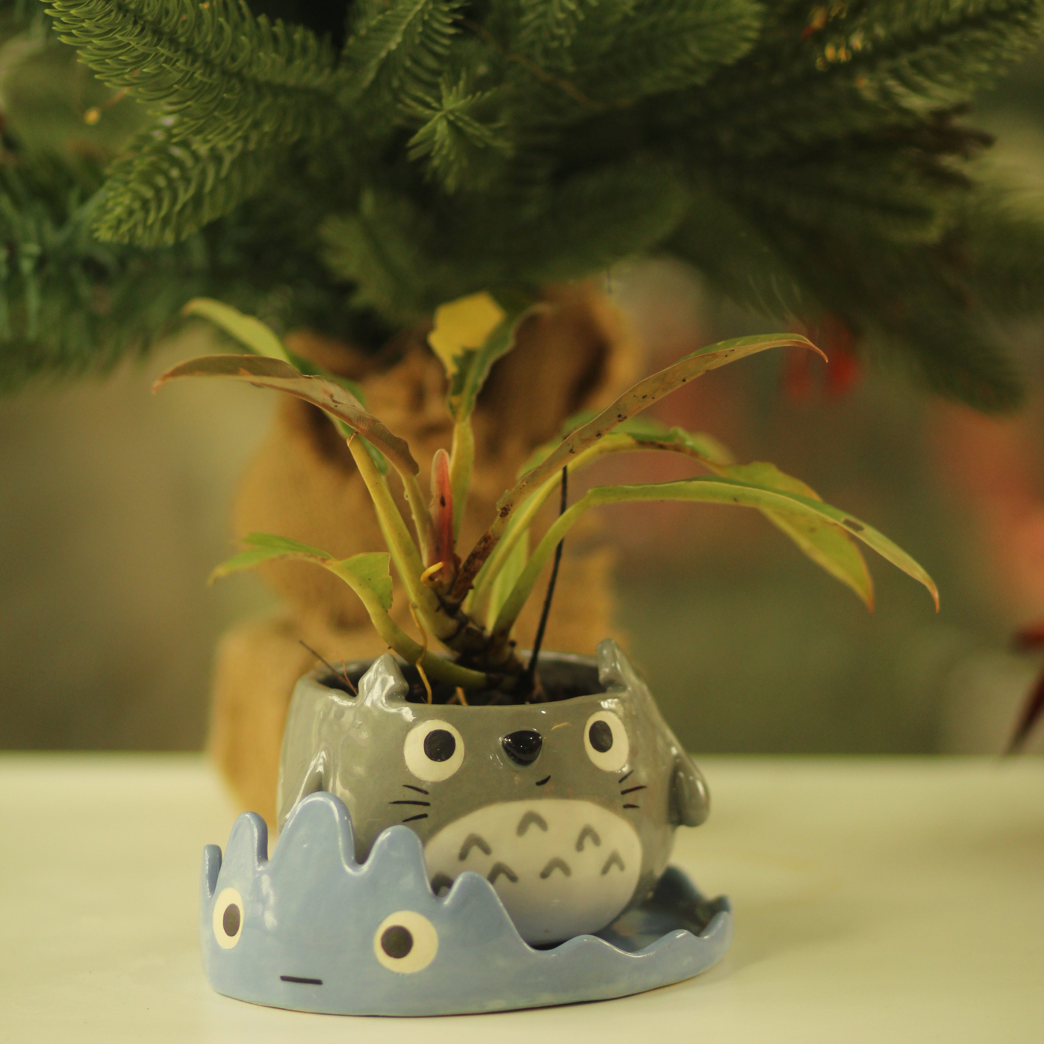 [Pre-order] Forest Spirit Handmade Ceramic Plant Pots, Handbuilt Pottery, Cute Gift For Anime Fan, Unique Birthday Gift, Adorable Valentine Gift | Totto Pottery