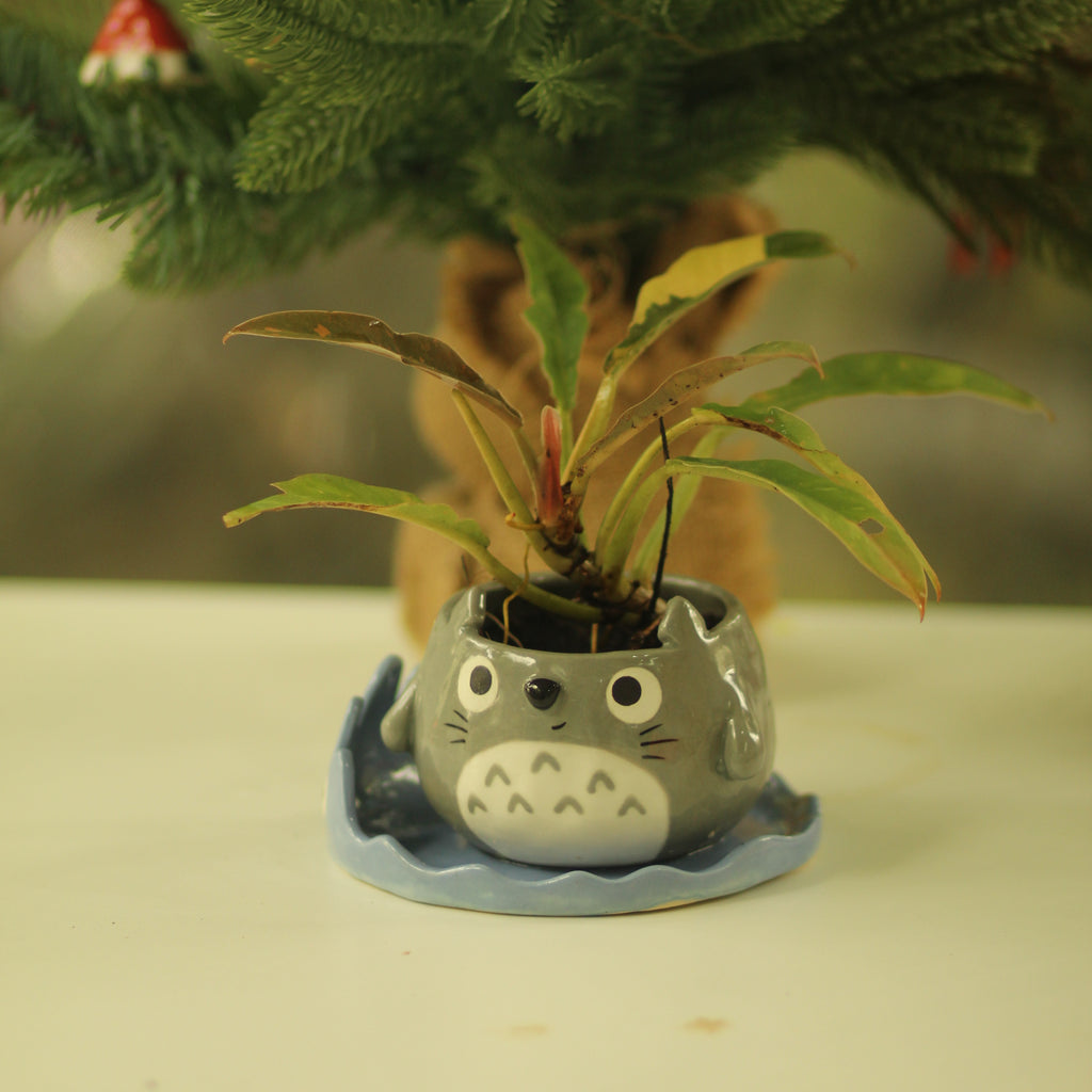[Pre-order] Forest Spirit Handmade Ceramic Plant Pots, Handbuilt Pottery, Cute Gift For Anime Fan, Unique Birthday Gift, Adorable Valentine Gift | Totto Pottery